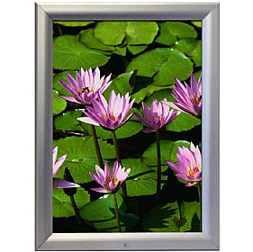 Lockable Weatherproof Snap Poster Frames