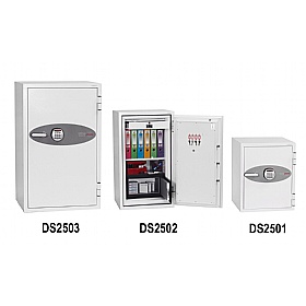 Phoenix 2500 Series Data Combi Safes