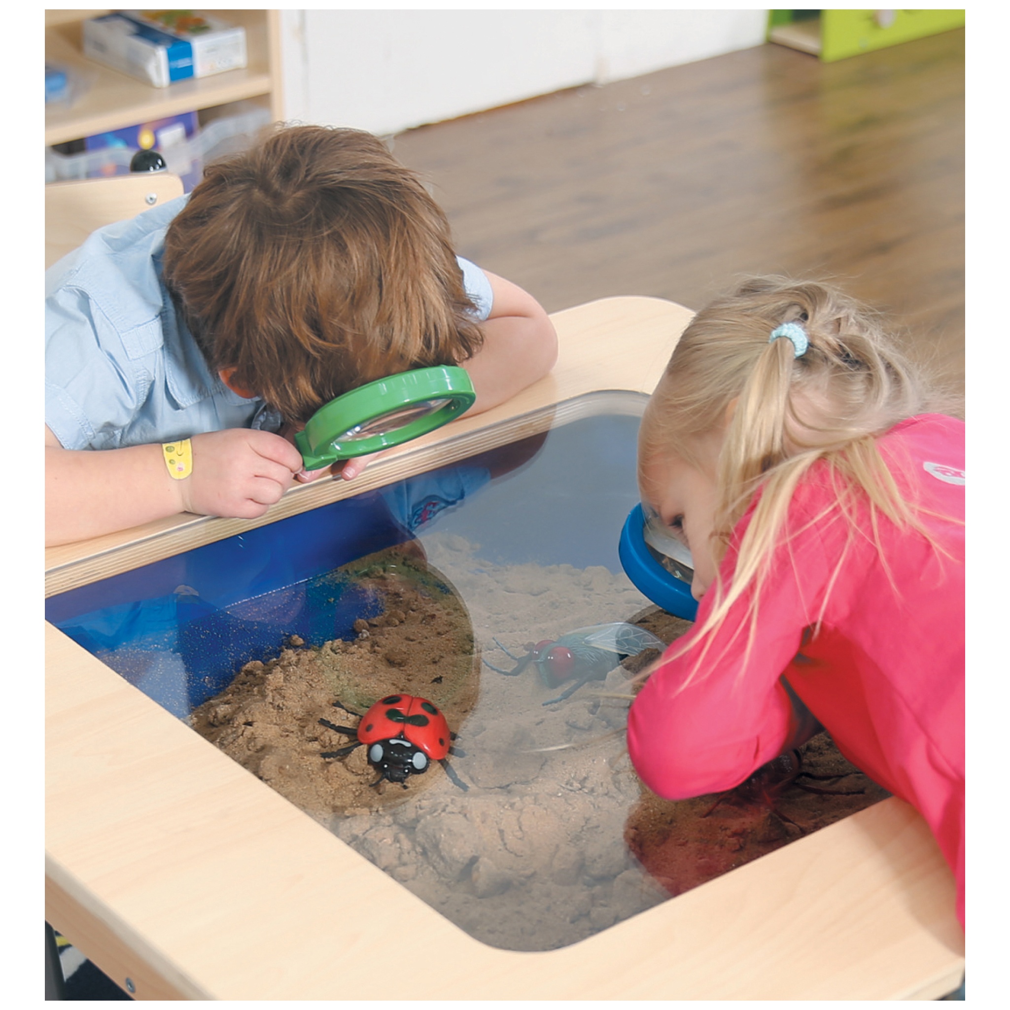 Observation Discovery Table Nursery And Primary Tables